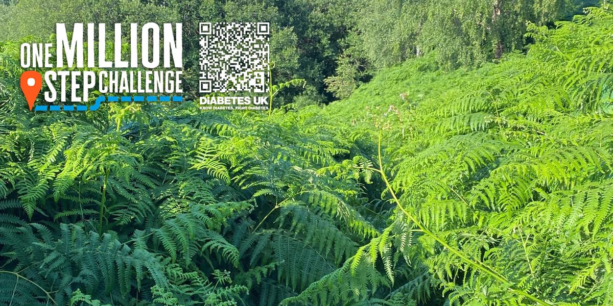 War on Diabetes Newsletter 13th July 2025