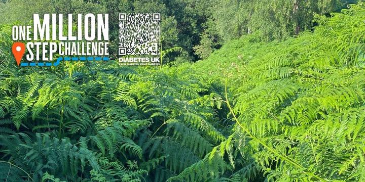 War on Diabetes Newsletter 13th July 2025